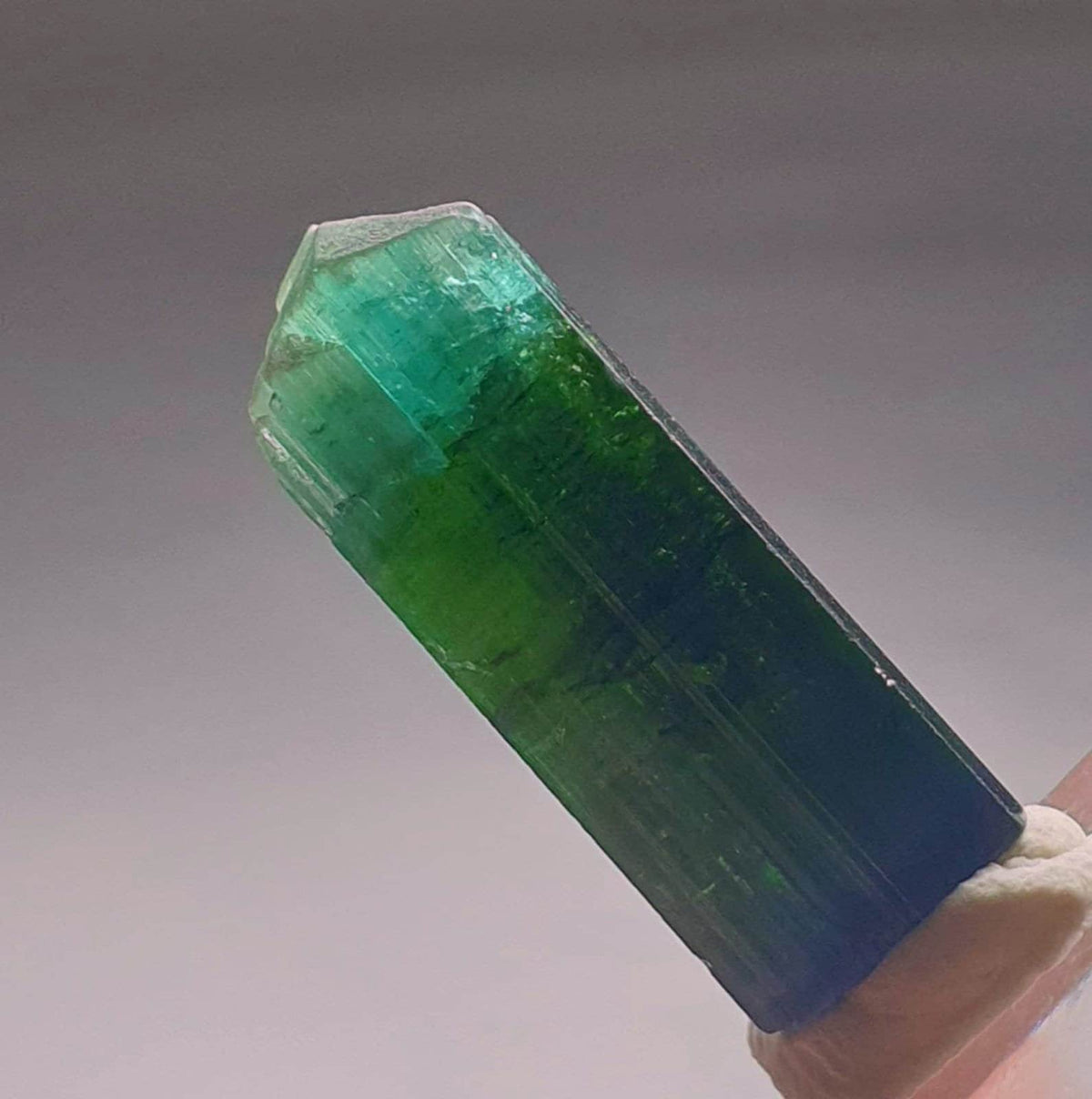 Blue Cap Bi Color Tourmaline Crystal
