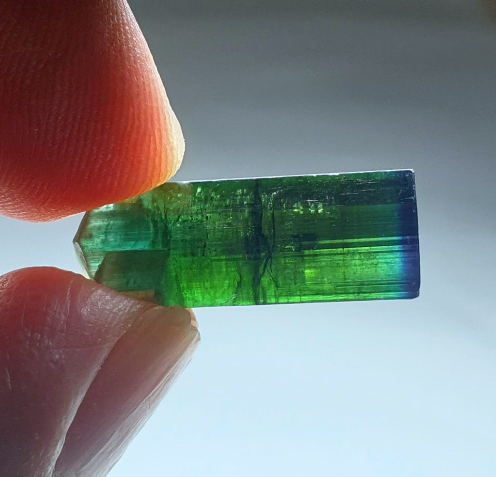 Blue Cap Bi Color Tourmaline Crystal