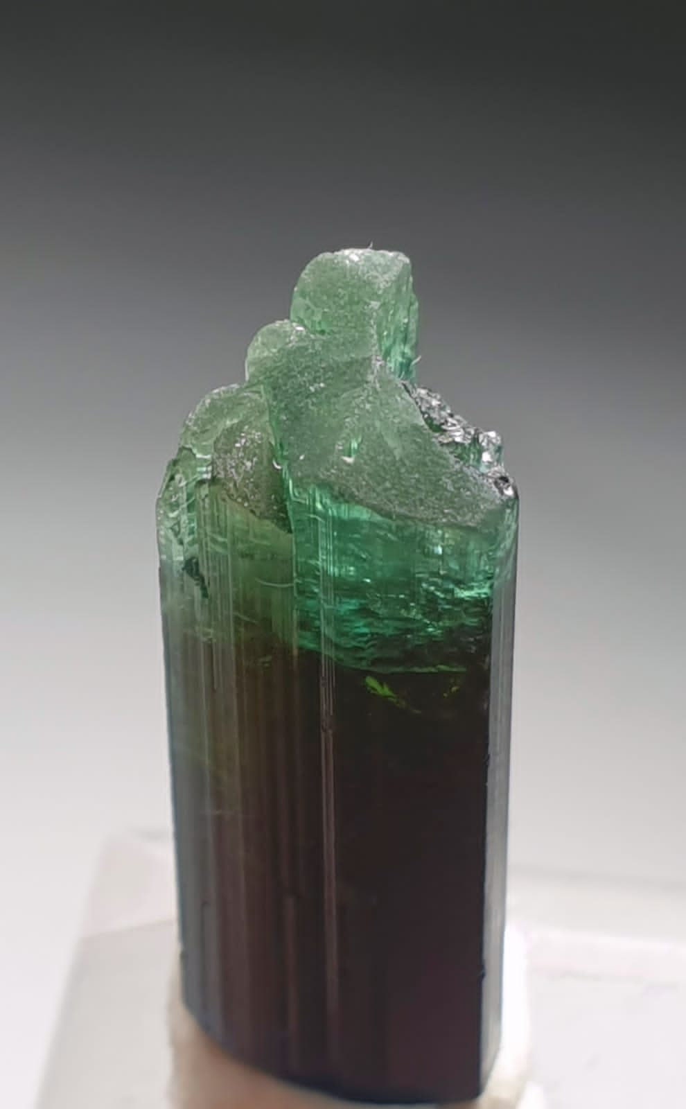 Blue Cap Bi Color Tourmaline Crystal