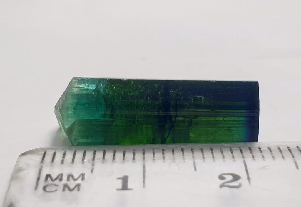 Blue Cap Bi Color Tourmaline Crystal