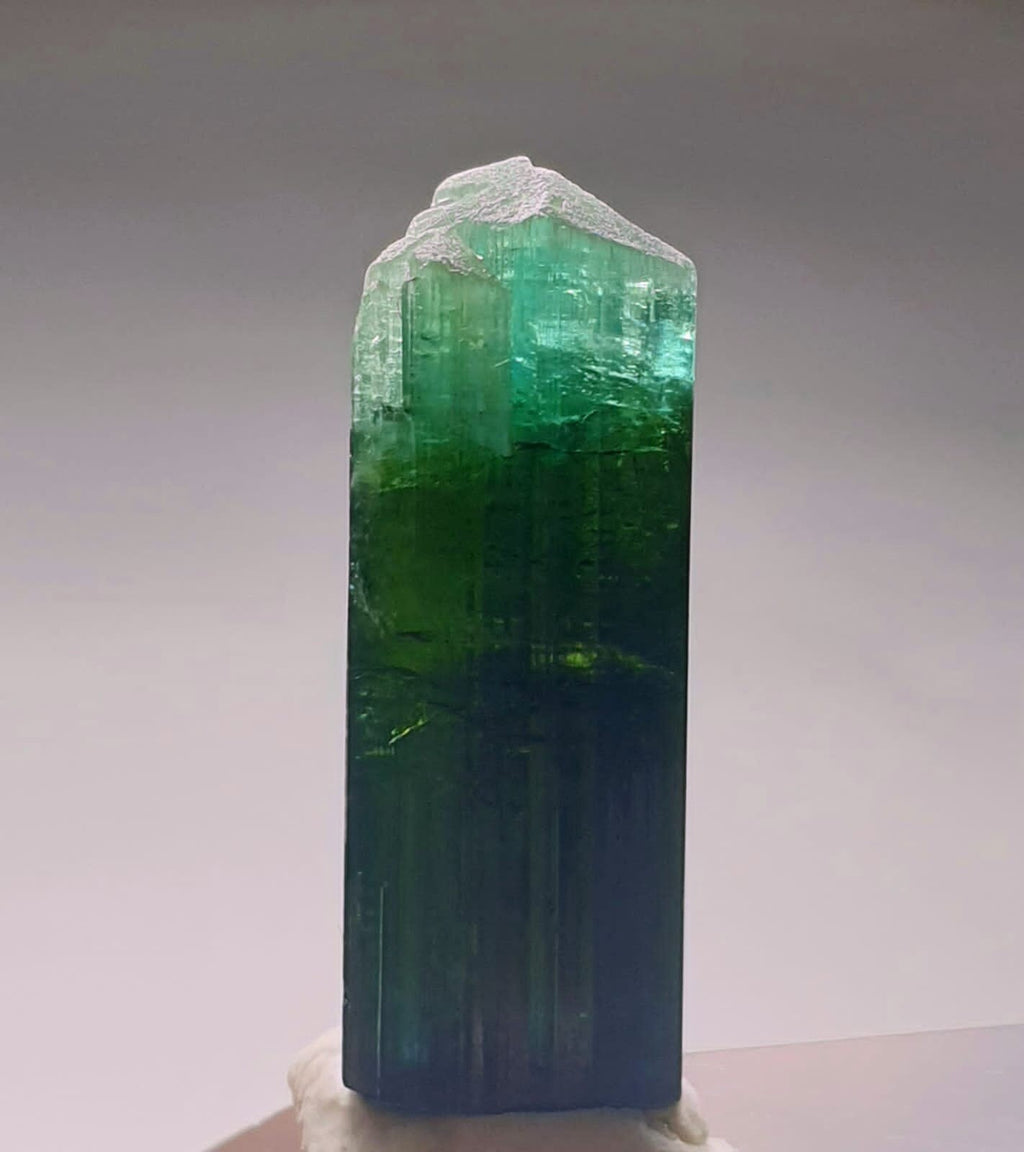 Blue Cap Bi Color Tourmaline Crystal