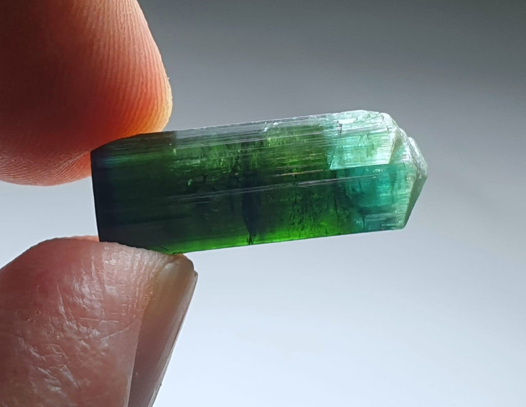 Blue Cap Bi Color Tourmaline Crystal