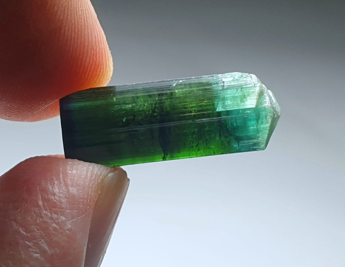 Blue Cap Bi Color Tourmaline Crystal