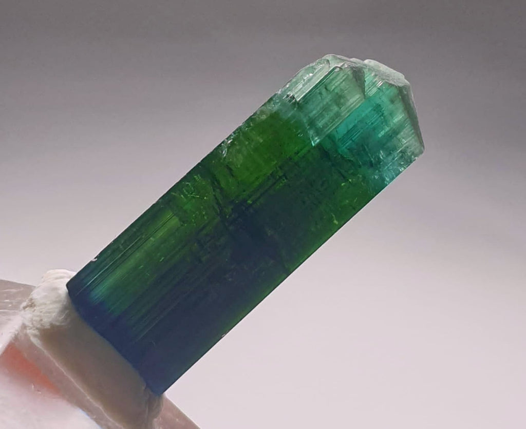 Blue Cap Bi Color Tourmaline Crystal