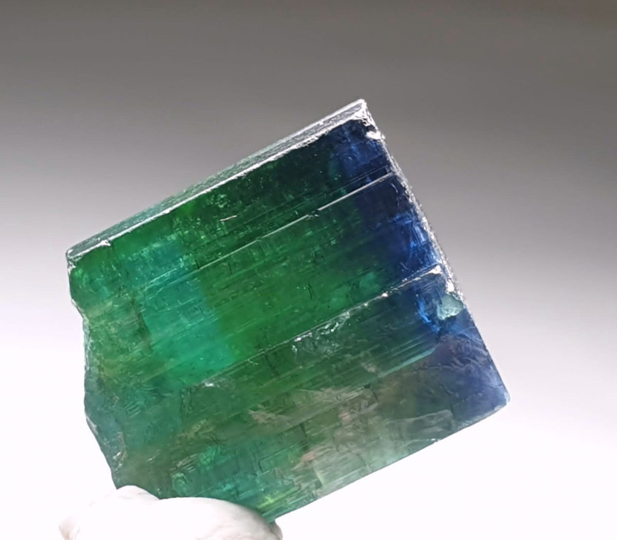 Blue Bi Color Terminated Tourmaline Crystal