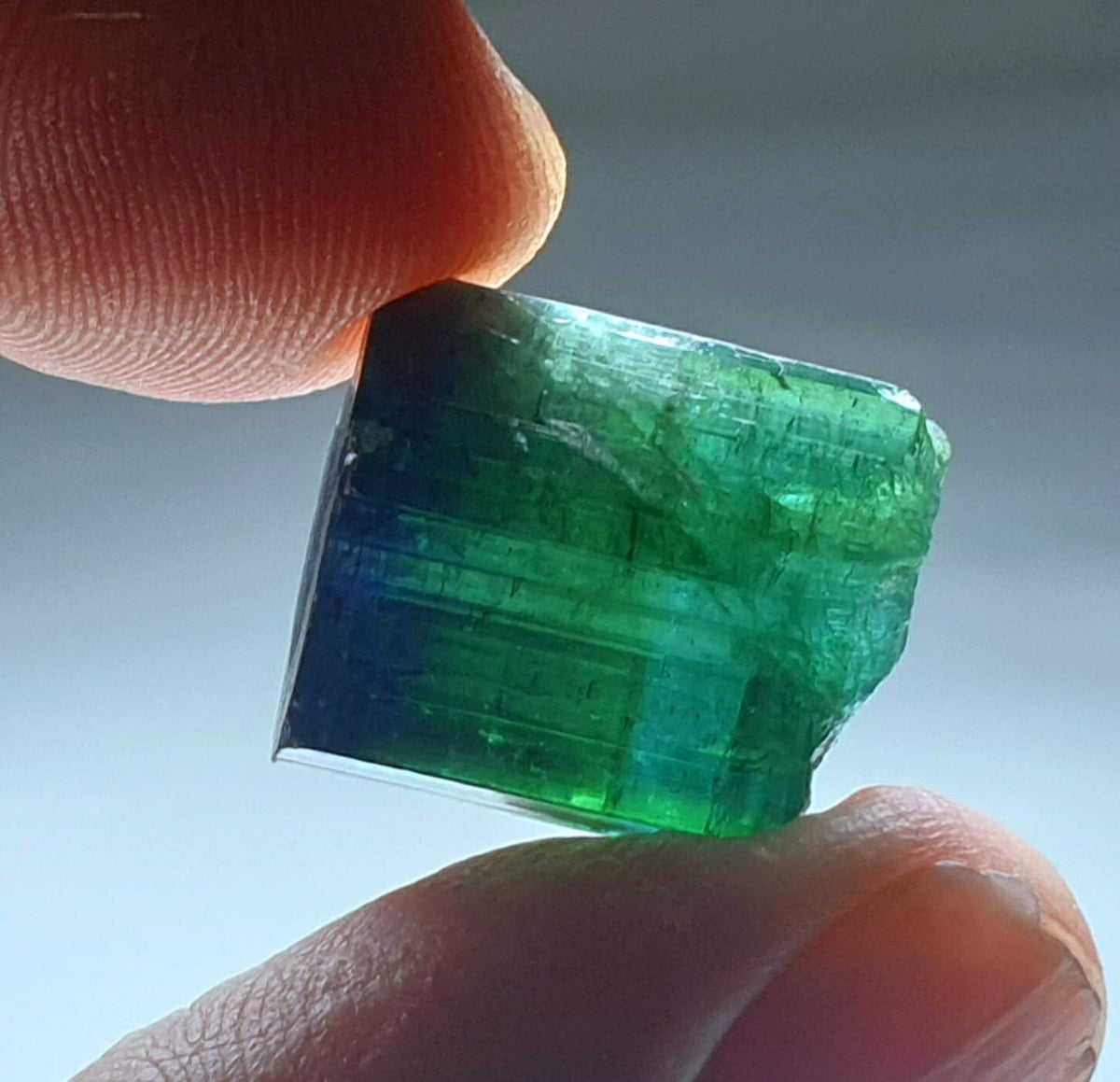 Blue Bi Color Terminated Tourmaline Crystal