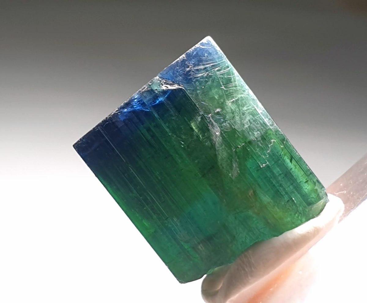 Blue Bi Color Terminated Tourmaline Crystal