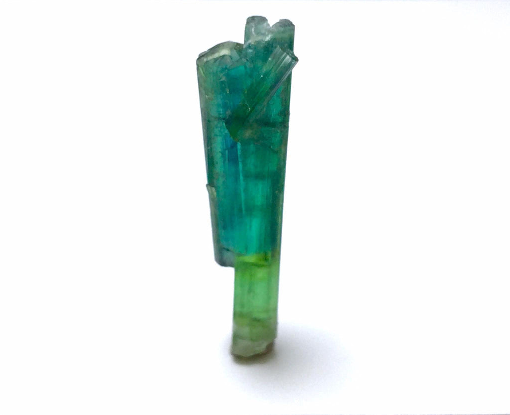 Bi Color Tourmaline Spray Specimen