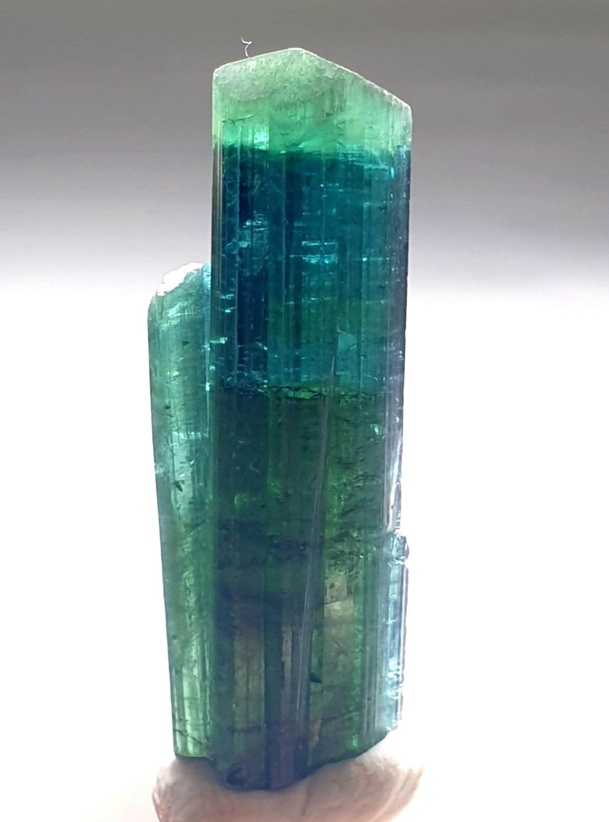 Indicolite Bi Color Terminated Tourmaline Crystal