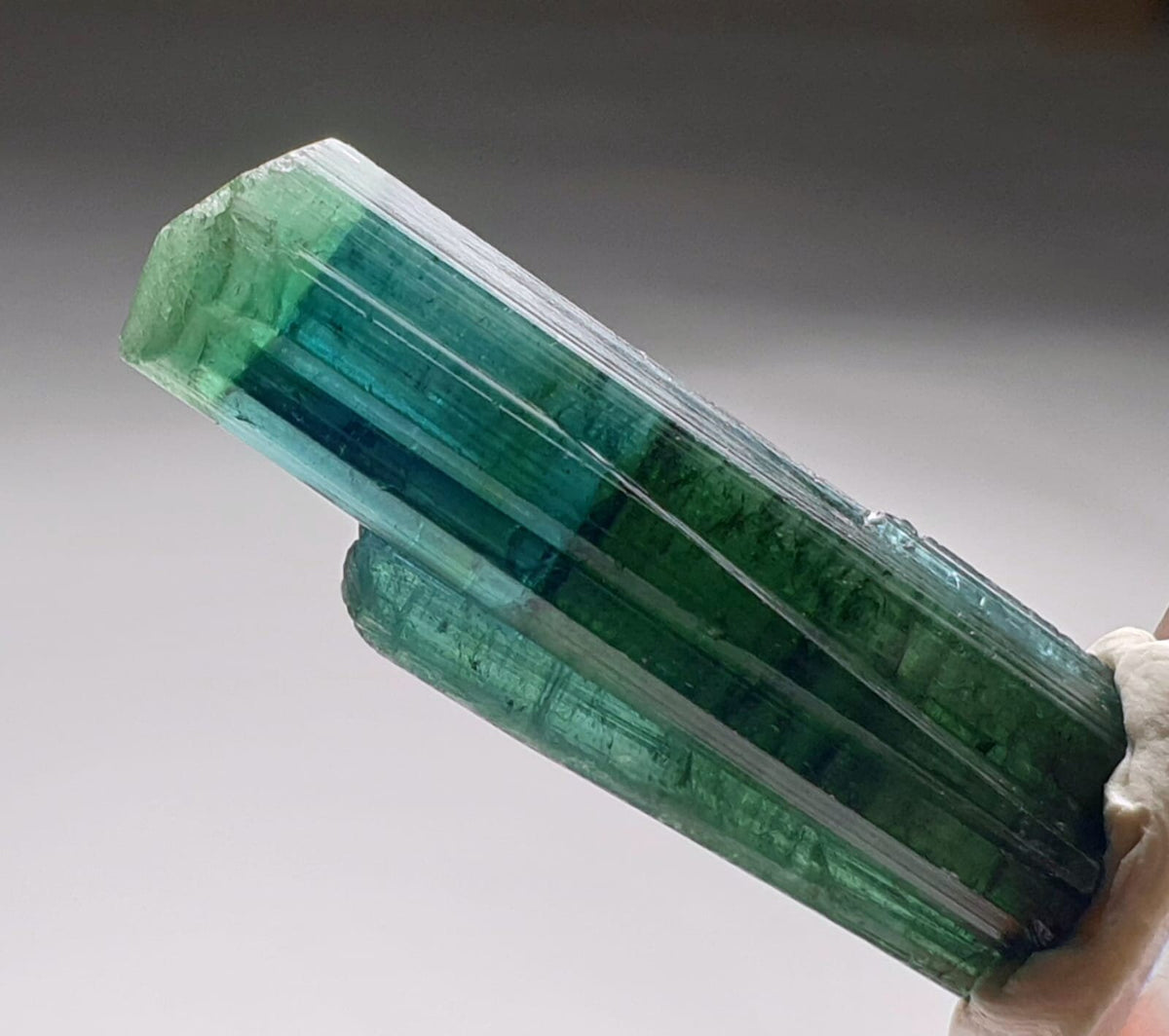 Indicolite Bi Color Terminated Tourmaline Crystal
