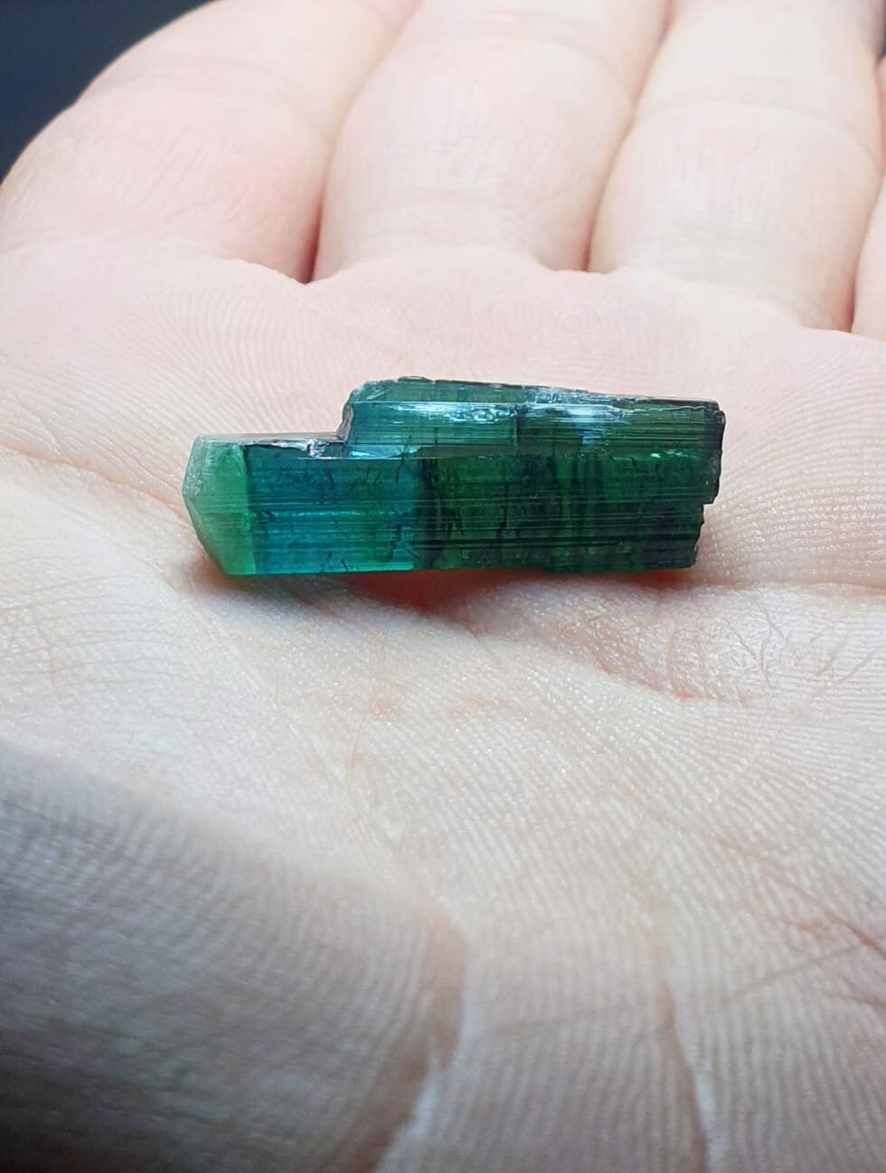 Indicolite Bi Color Terminated Tourmaline Crystal