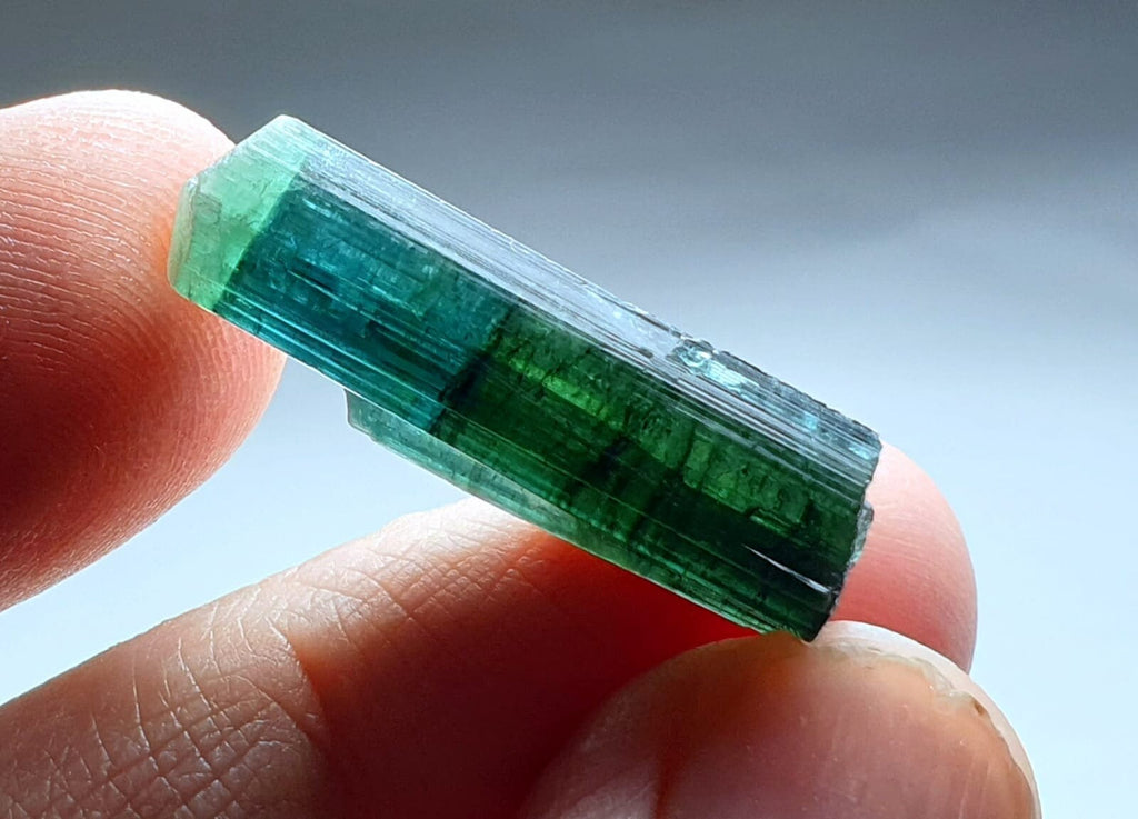 Indicolite Bi Color Terminated Tourmaline Crystal