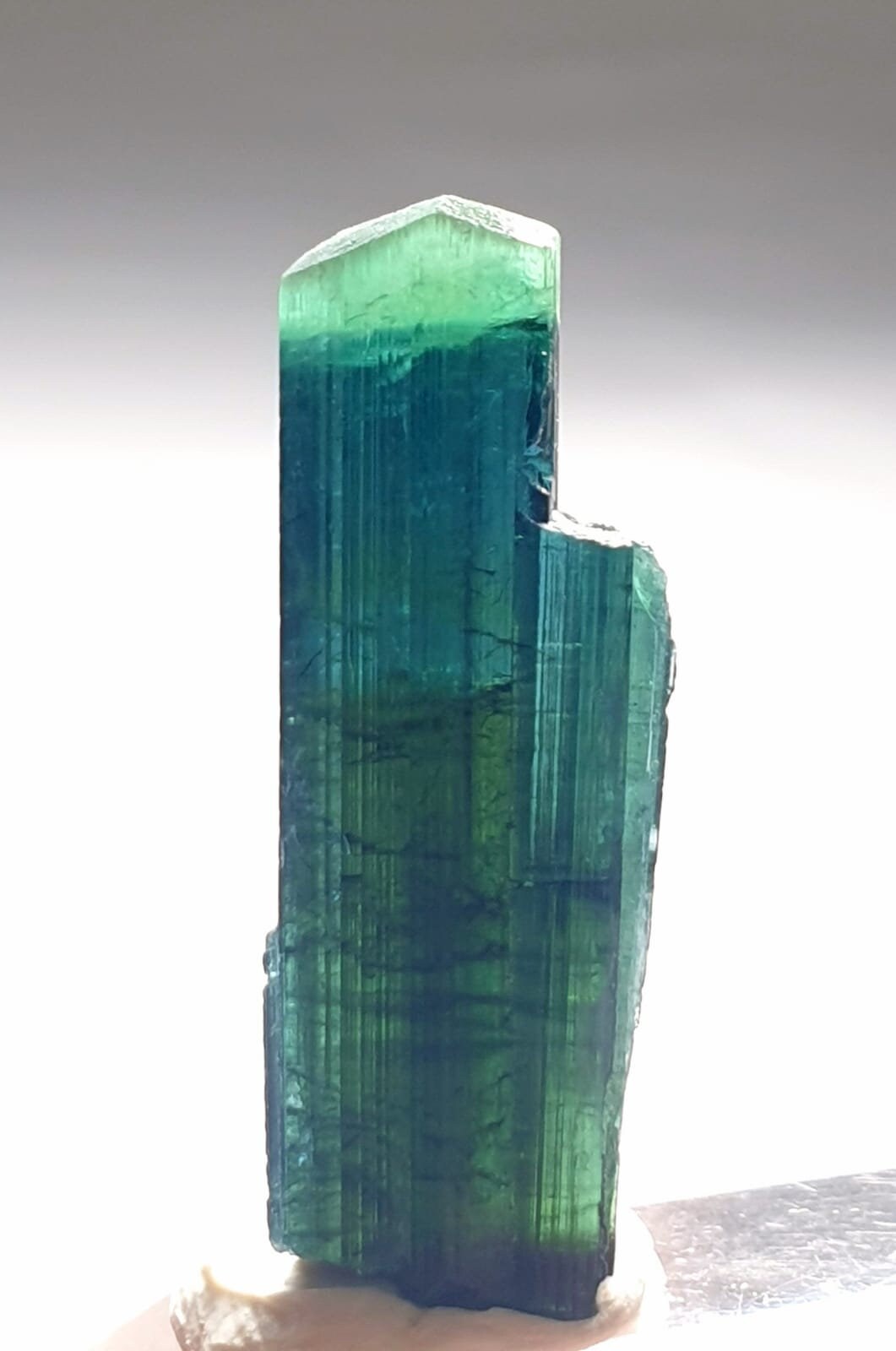 Indicolite Bi Color Terminated Tourmaline Crystal