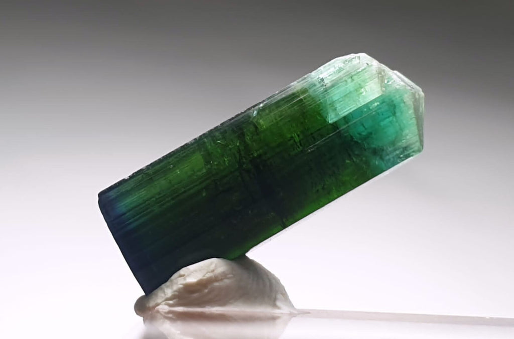 Blue Cap Bi Color Tourmaline Crystal