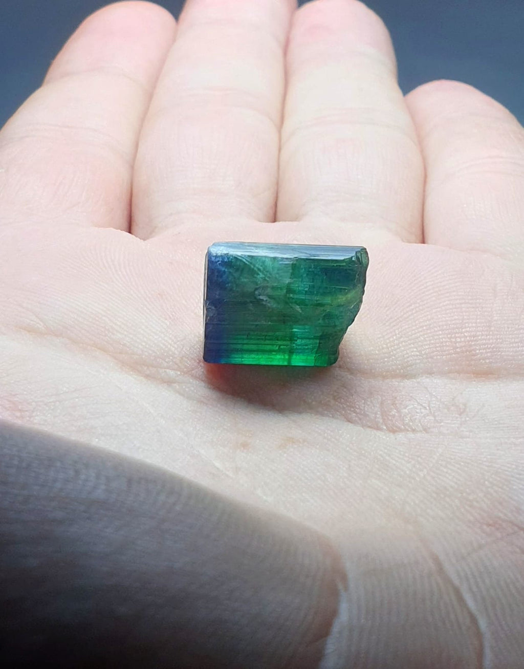 Blue Bi Color Terminated Tourmaline Crystal
