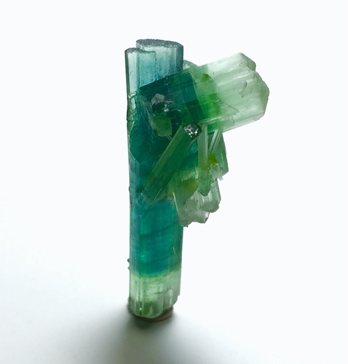 Double-Terminated Bi-Color Tourmaline Specimen: Afghanistan Pech Mine