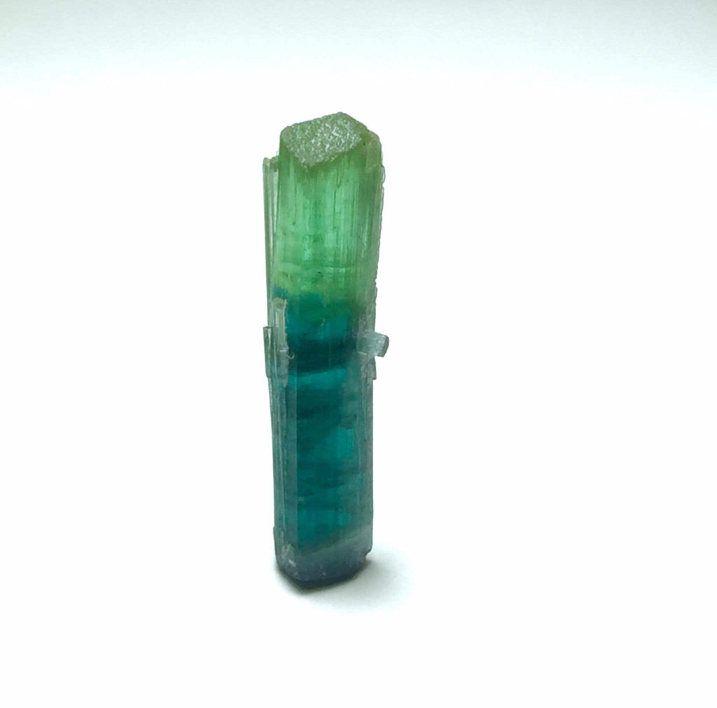 Bi Color Tourmaline Crystal