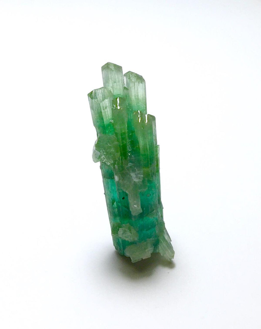 Tourmaline Bunch Specimen