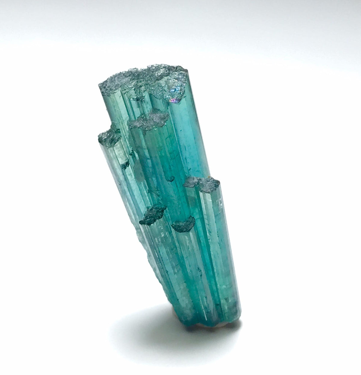 Tourmaline Bunch Specimen
