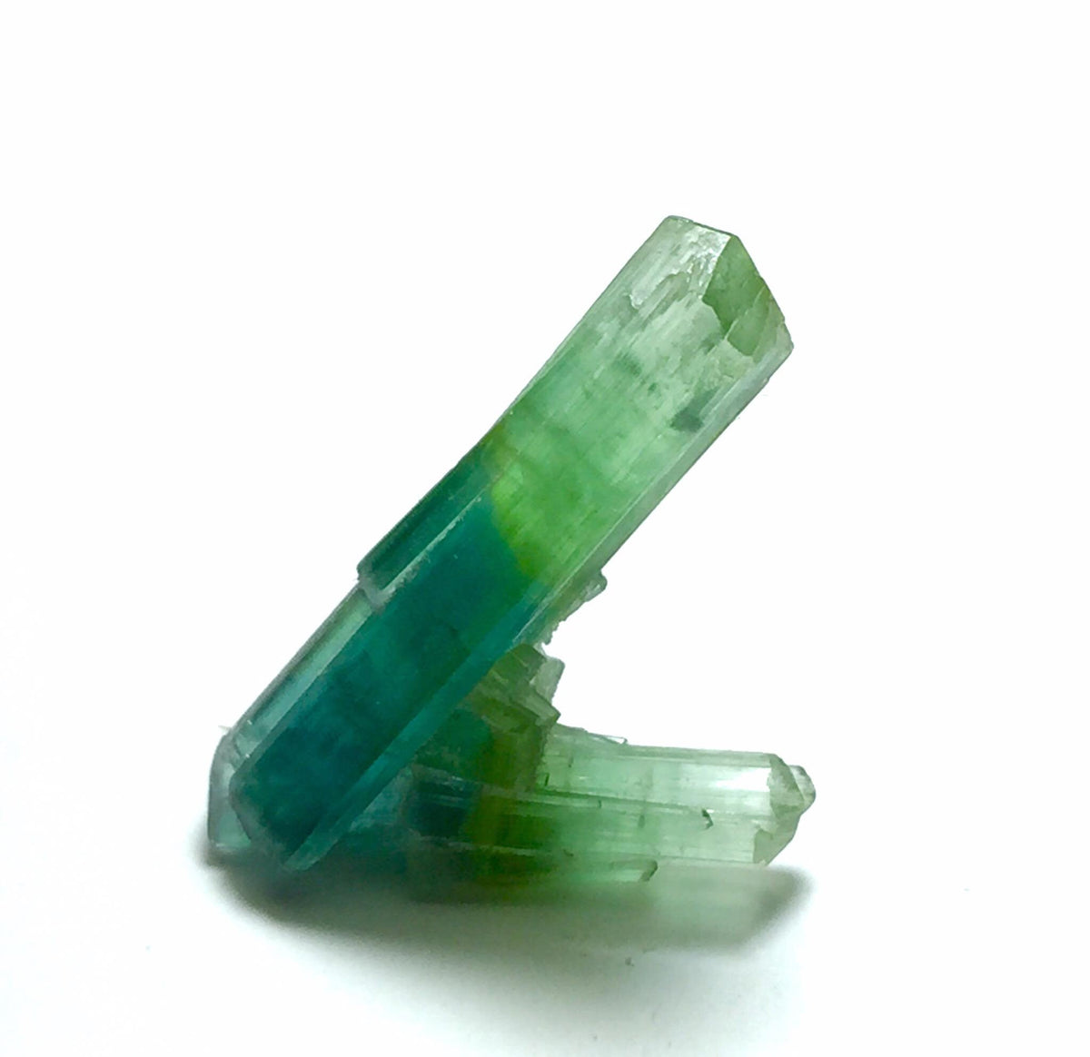Bi Color Tourmaline Spray Specimen