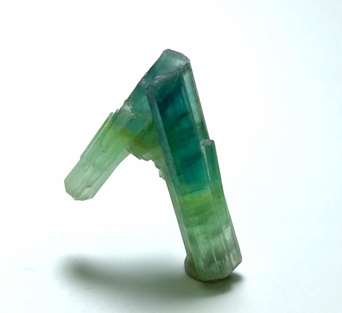 Bi Color Tourmaline Spray Specimen
