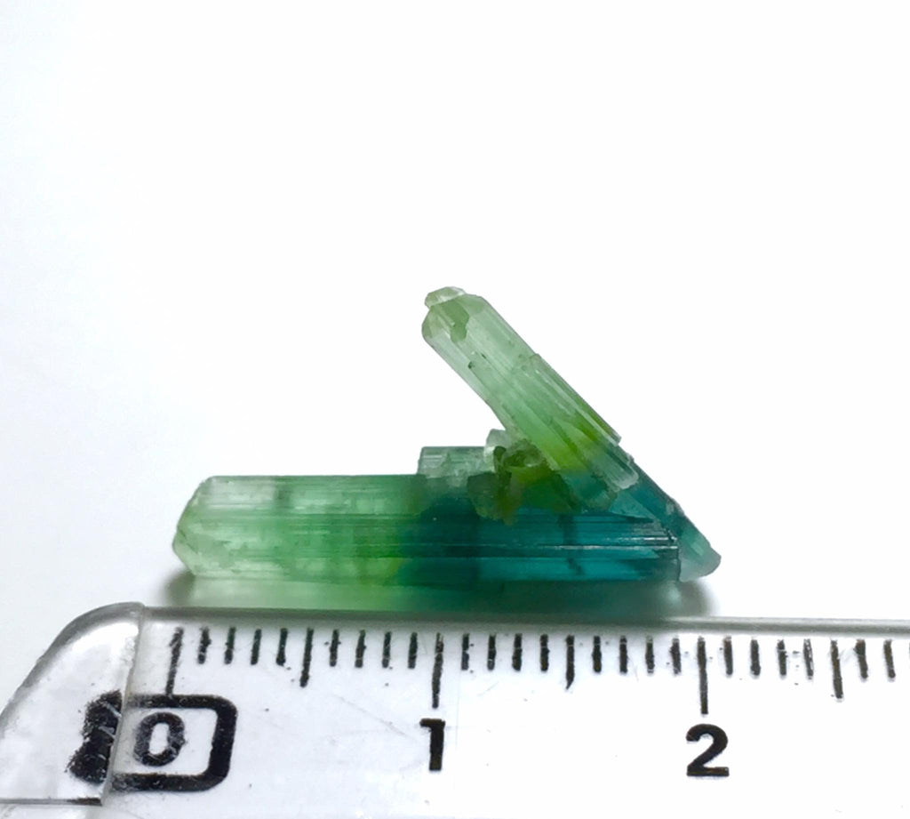 Bi Color Tourmaline Spray Specimen