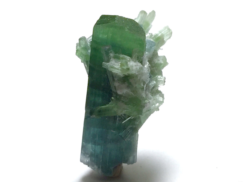Bi-Color Tourmaline Specimen: 8.5 Carat Afghan Mineral