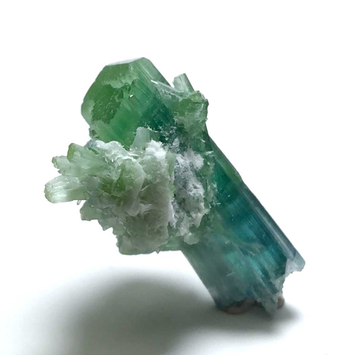 Bi-Color Tourmaline Specimen: 8.5 Carat Afghan Mineral