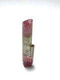 Lipstick Bi Color Tourmaline
