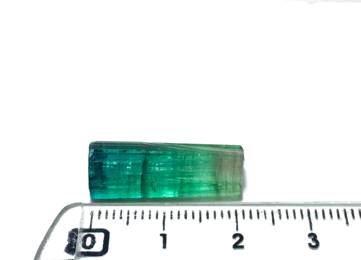 Watermelon Tourmaline Crystal