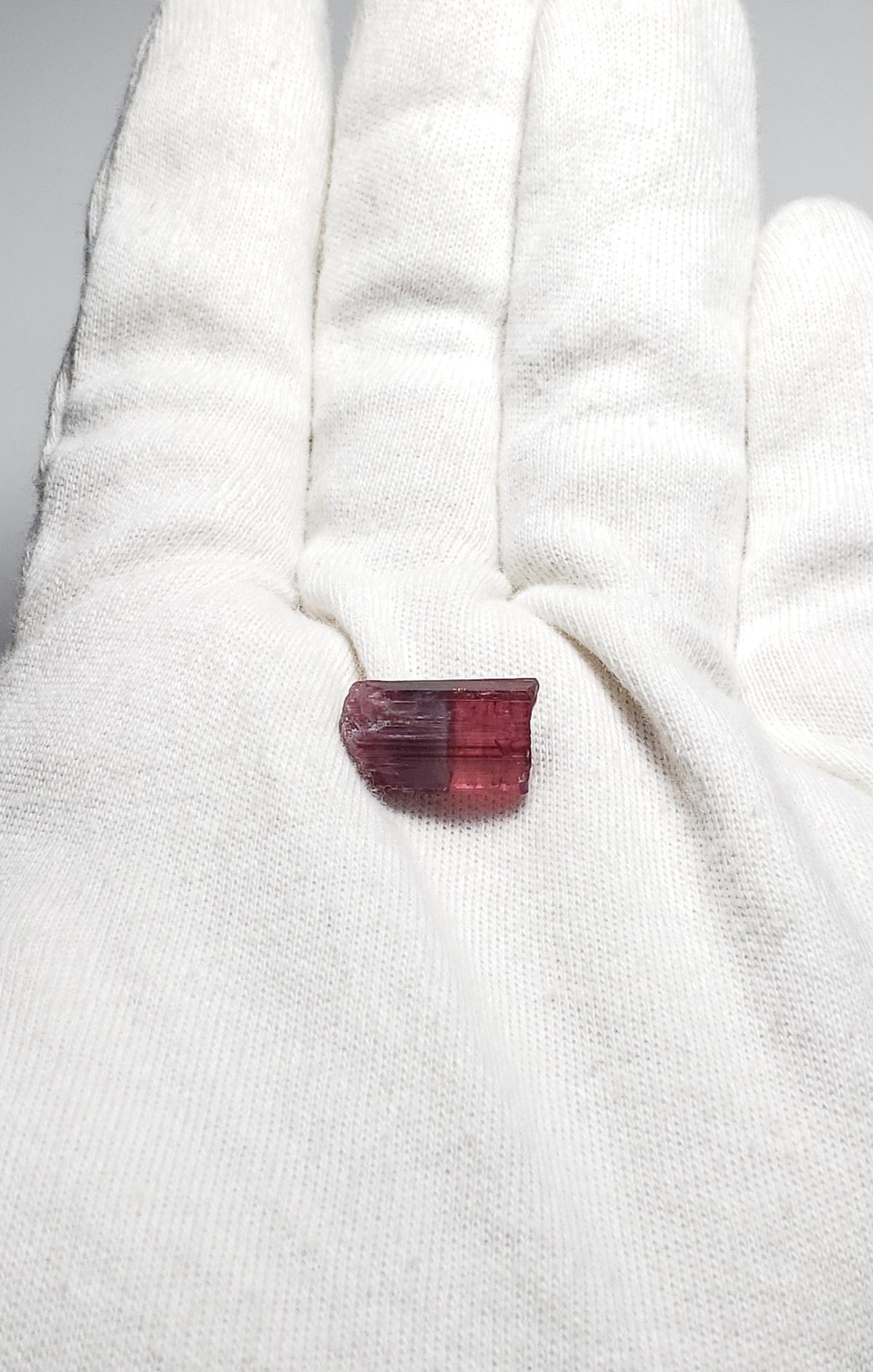 Bi Color Tourmaline Crystal