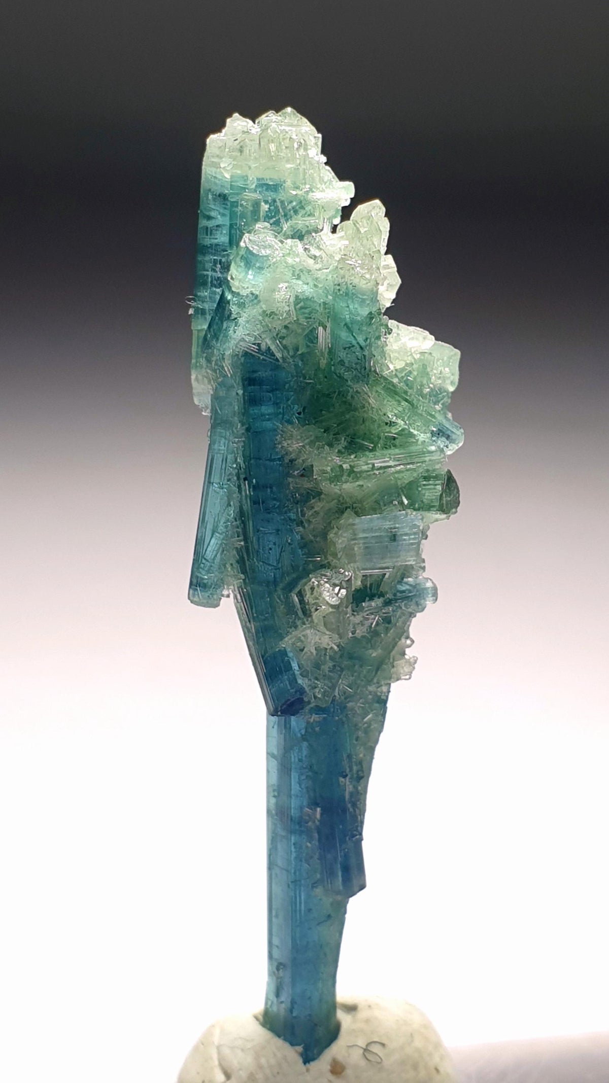 Tourmaline Bunch Specimen