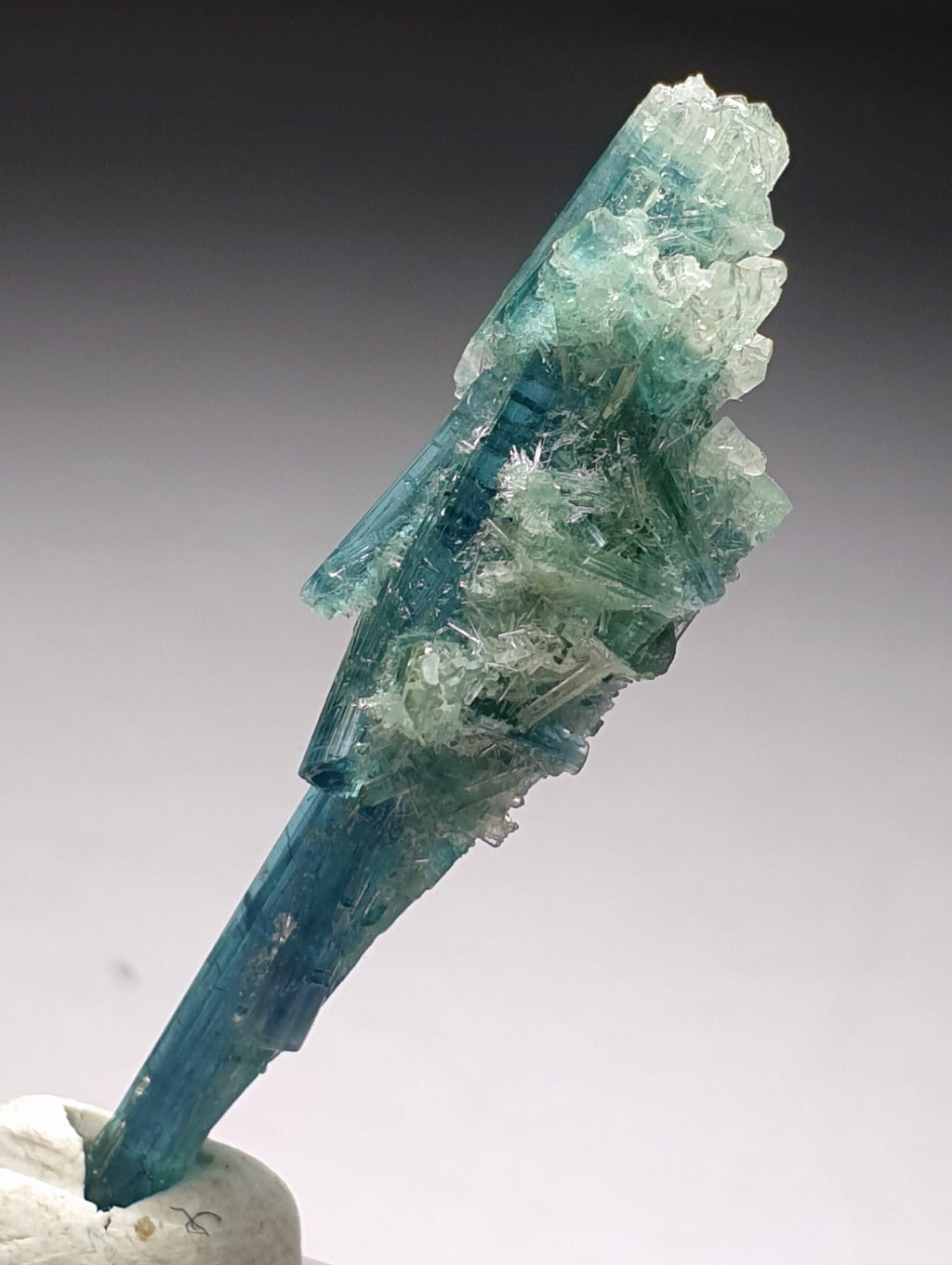 Tourmaline Bunch Specimen