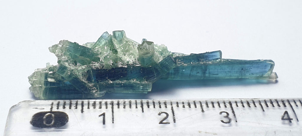 Tourmaline Bunch Specimen