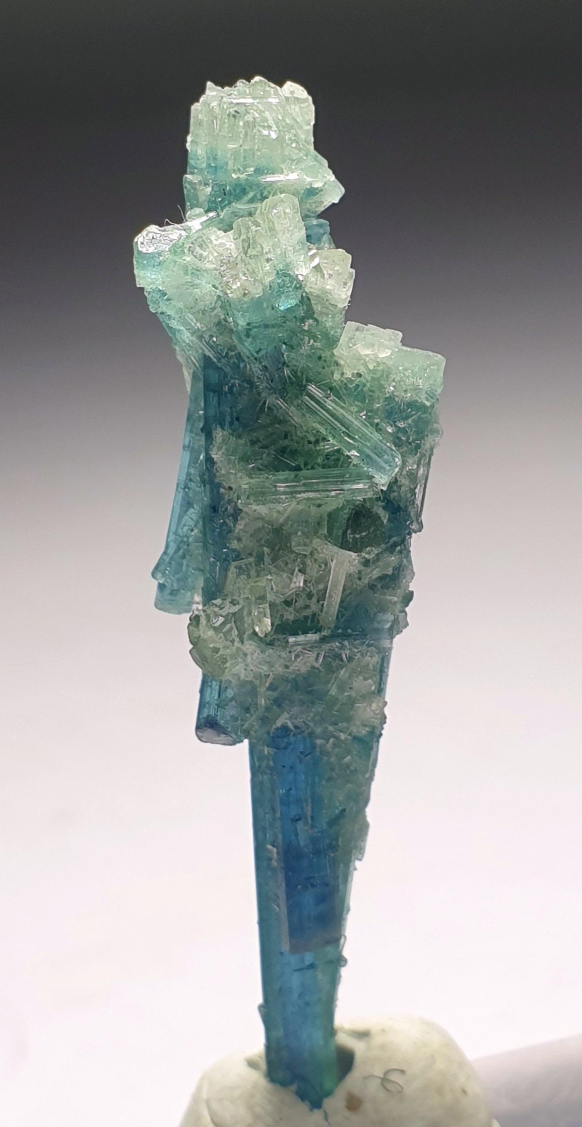 Tourmaline Bunch Specimen