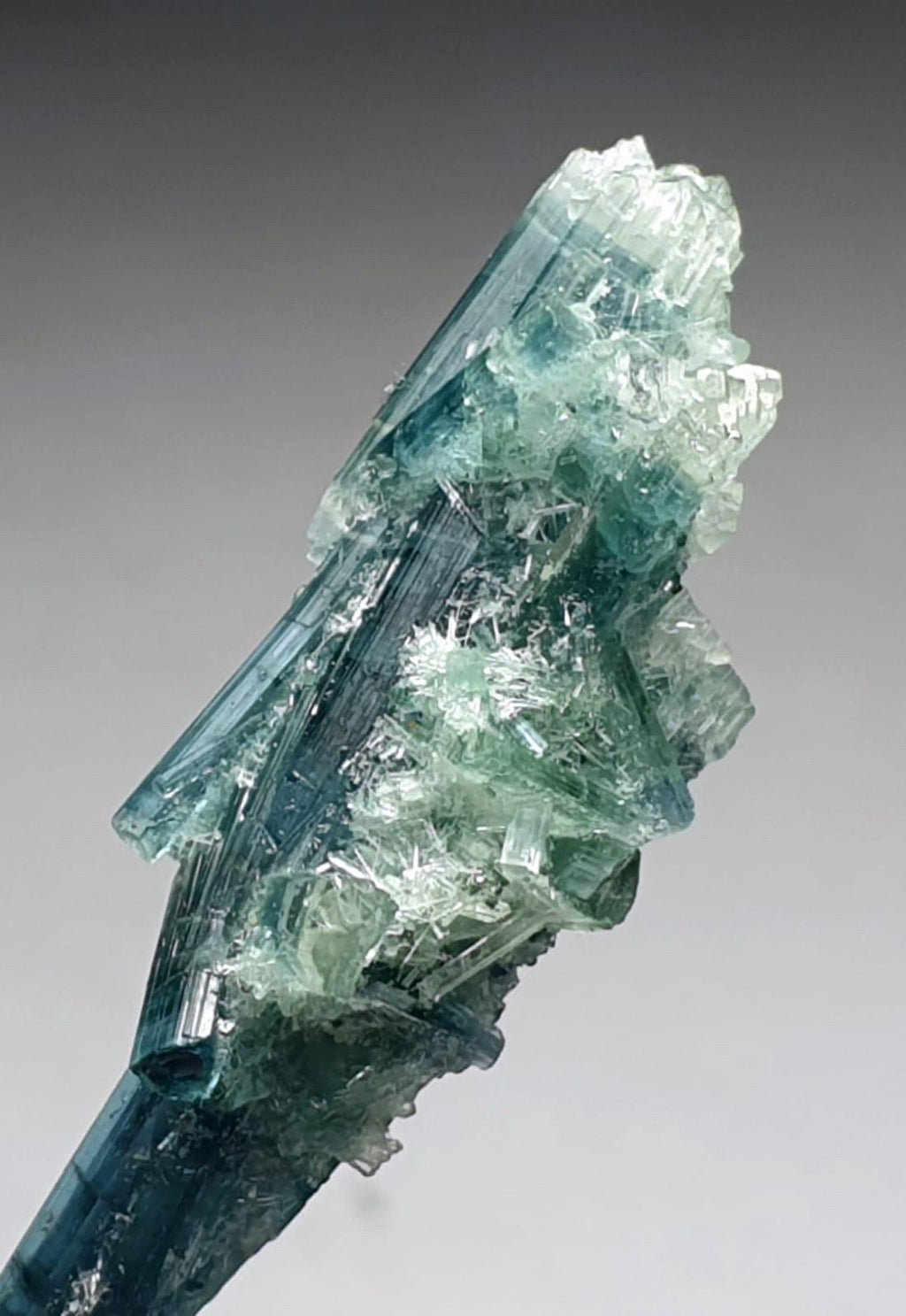 Tourmaline Bunch Specimen