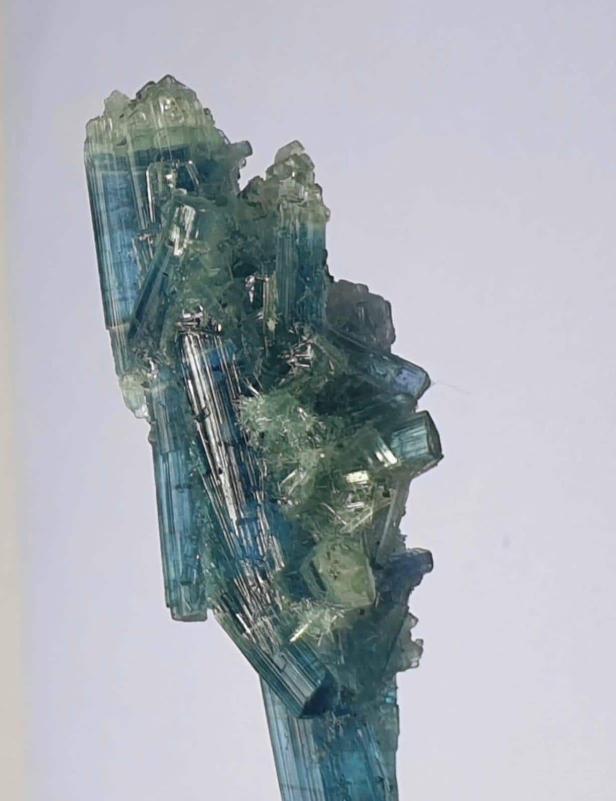 Tourmaline Bunch Specimen