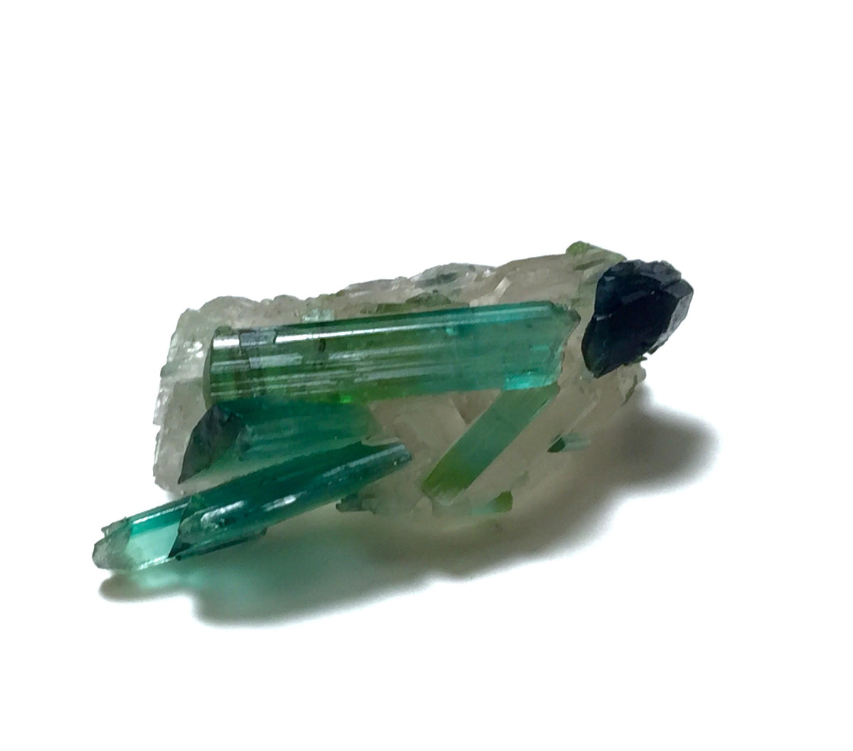 Bi Color Tourmaline Crystal in Smoky Qurtaz