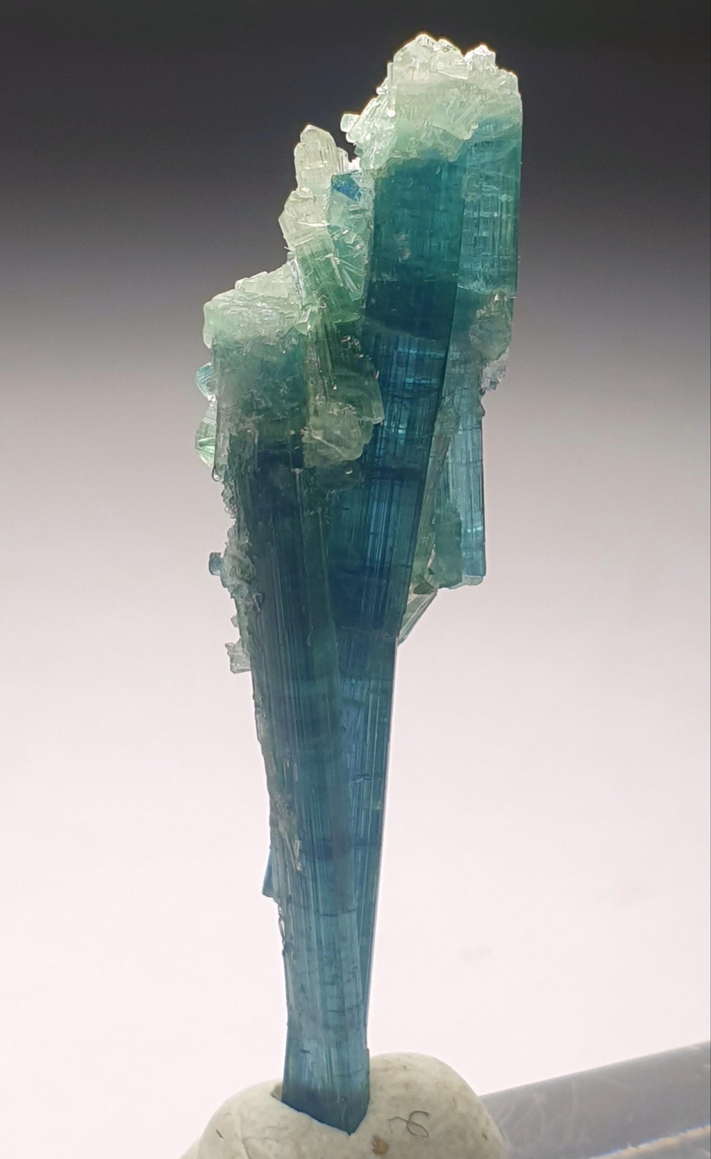 Tourmaline Bunch Specimen