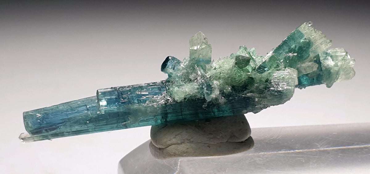 Tourmaline Bunch Specimen