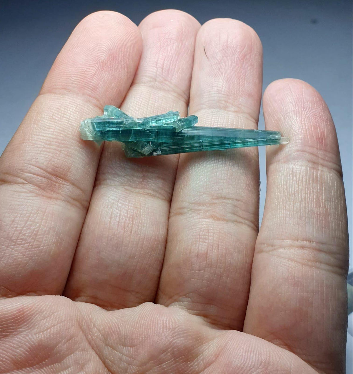 Tourmaline Bunch Specimen