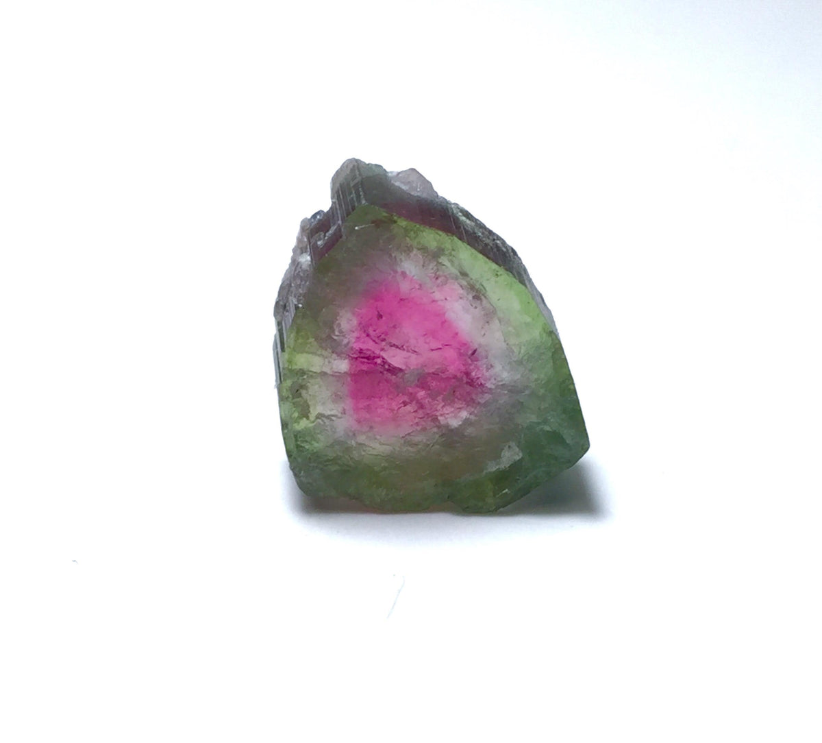 Watermelon Tourmaline Slice, Bicolor Tourmaline