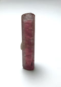Watermelon Tourmaline Crystal