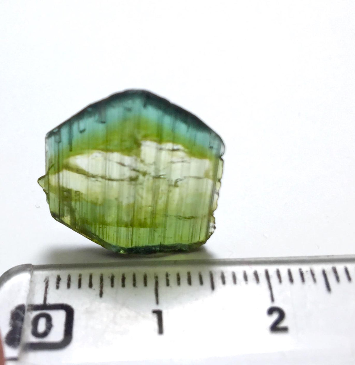 Tri Colors Terminated Tourmailine Crystal