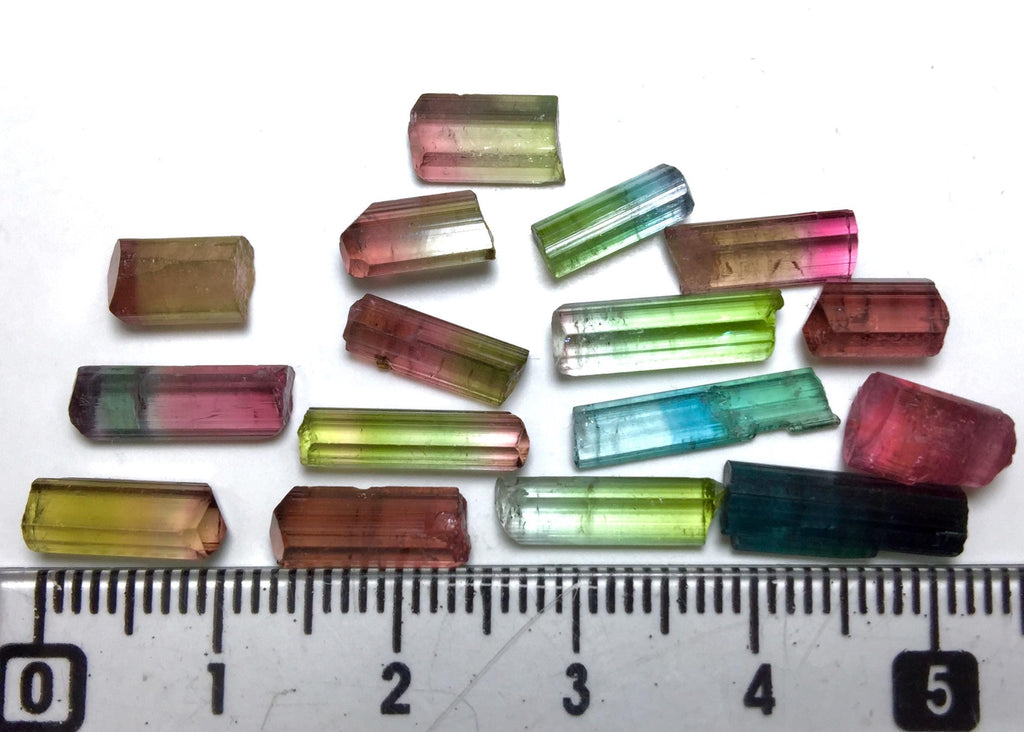 Multiple Color Terminated Tourmaline Crystals lot