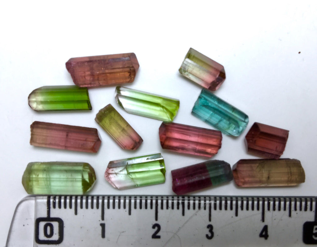 Multiple Color Terminated Tourmaline Crystals lot