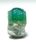Bi-Color Tourmaline Specimen: 19.5 Carat, Afghanistan Crystal