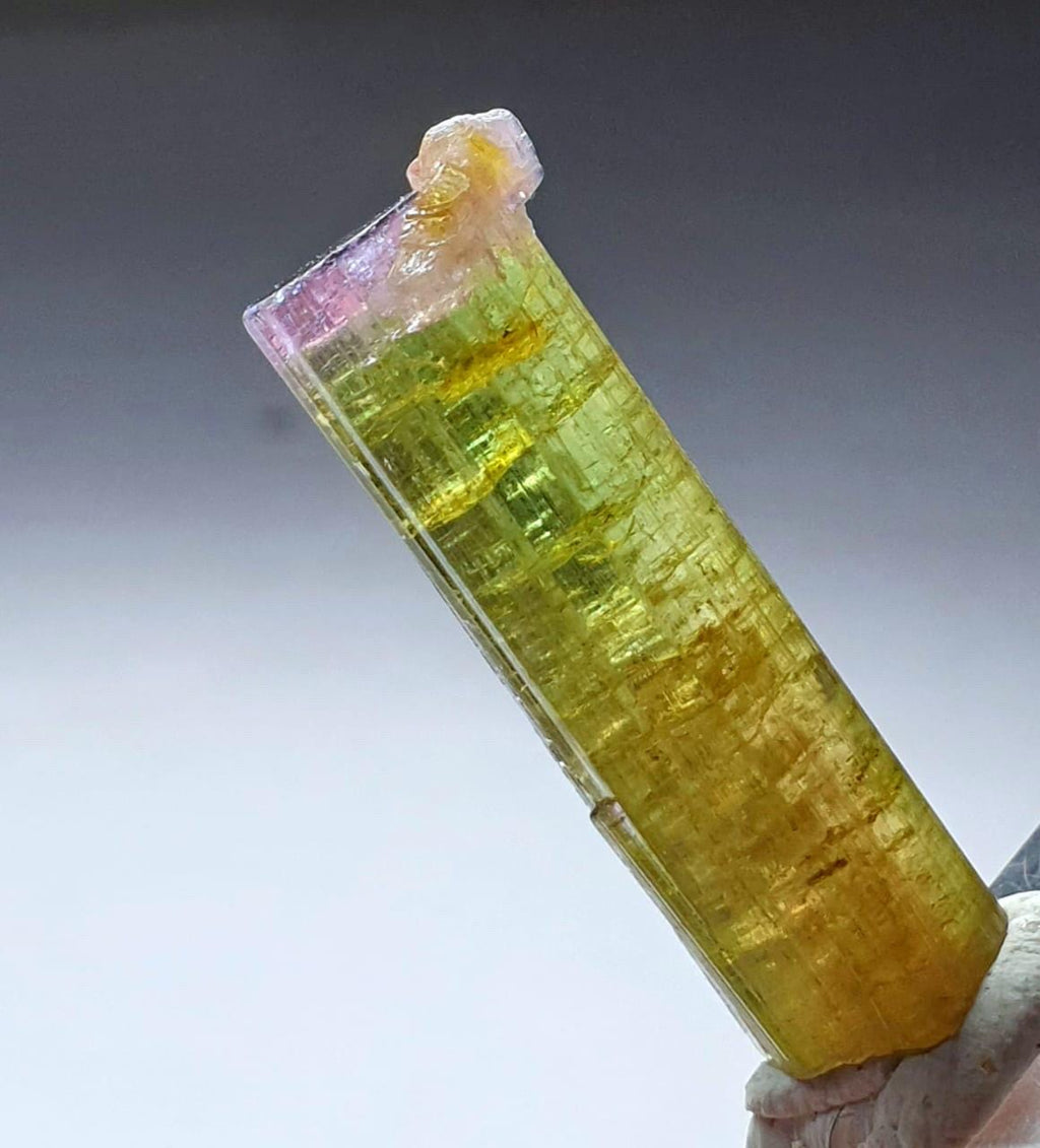 Watermelon Tourmaline Specimen: Purple Cap Albite from Afghanistan