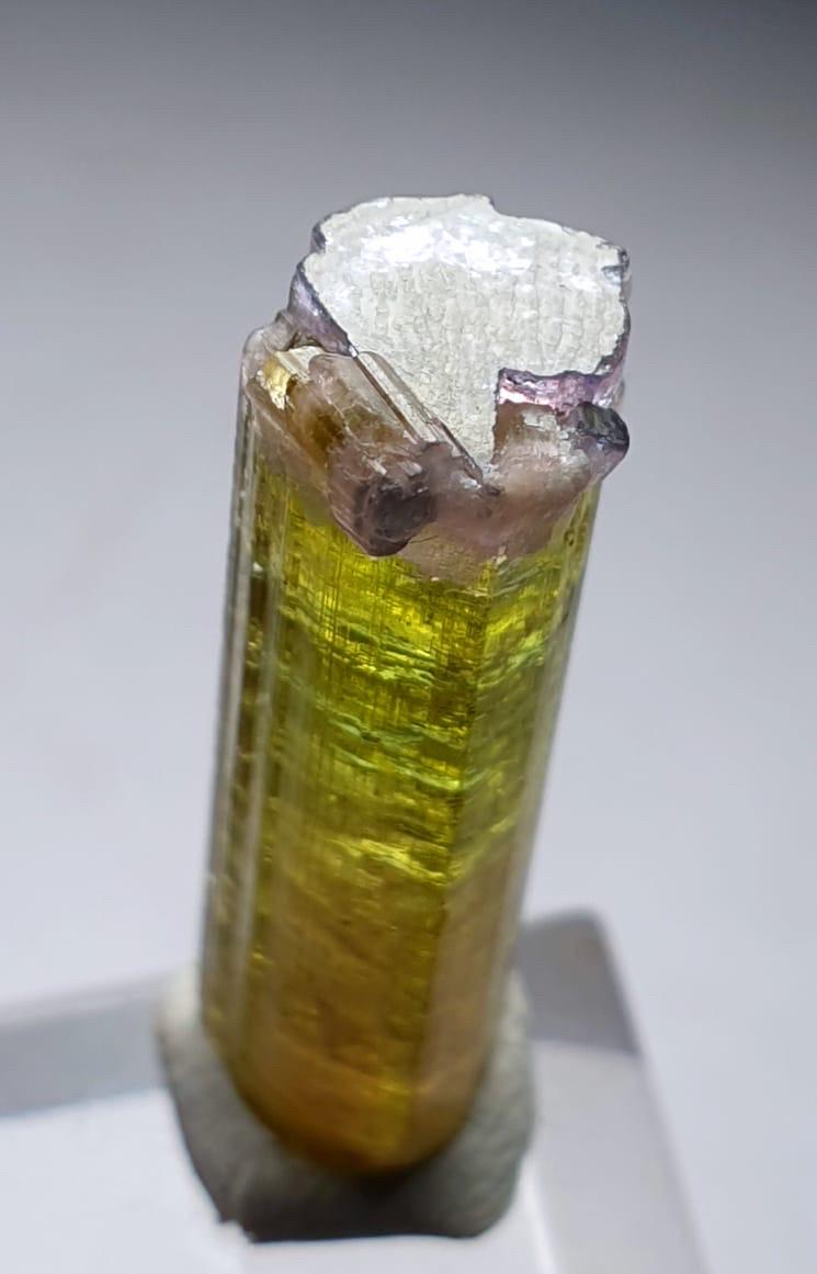 Watermelon Tourmaline Specimen: Purple Cap Albite from Afghanistan