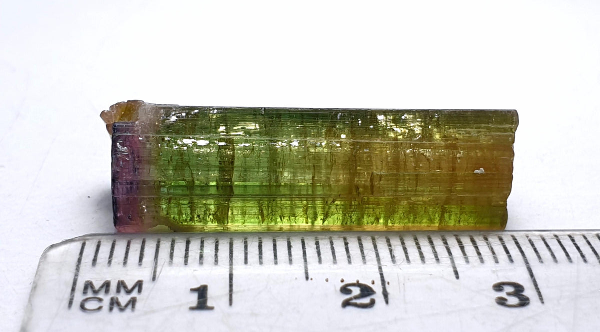 Watermelon Tourmaline Specimen: Purple Cap Albite from Afghanistan